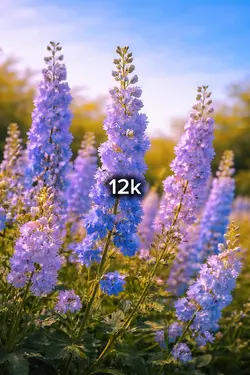 120p to 12k