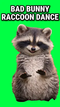 BAD BUNNY RACCOON
