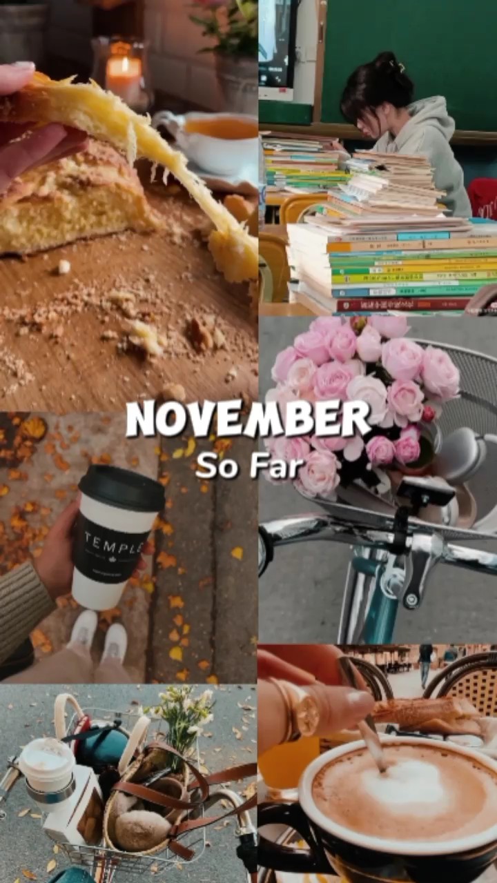 NOVIEMBRE HASTA AHORA