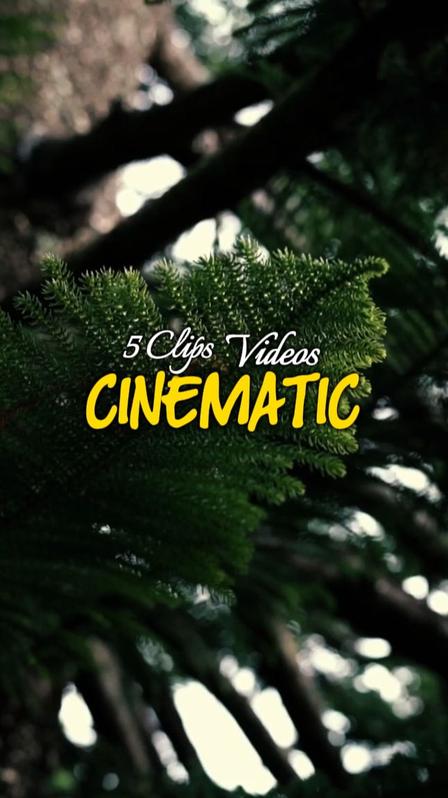 5 Clips cinematic