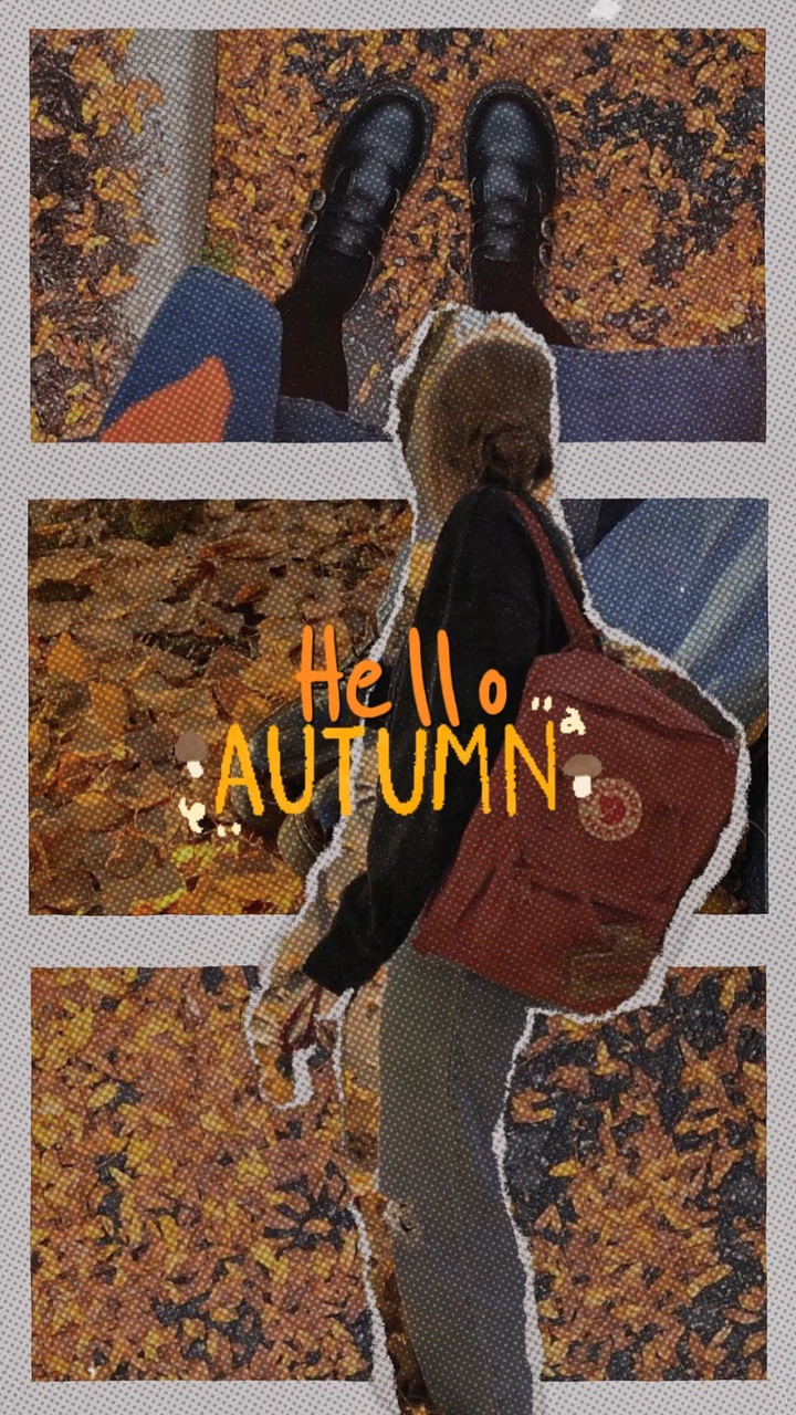 Autumn dump 🍂🍁
