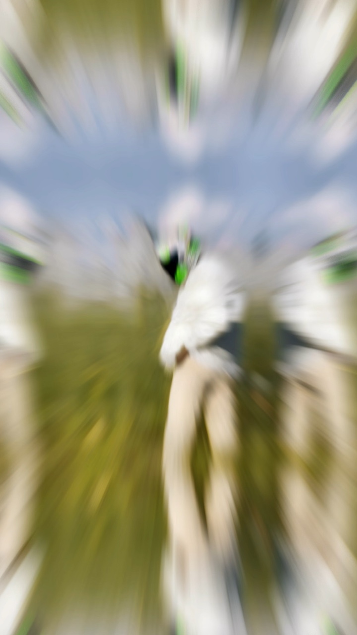 Blur motion template