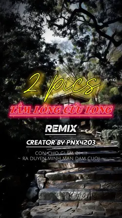 Tấm Lòng Cửu Long