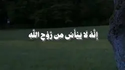 سورة يوسف