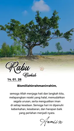 Status harian
