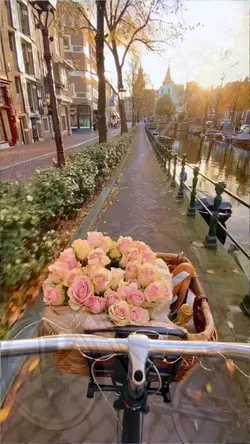 Amsterdam Tagebuch 
