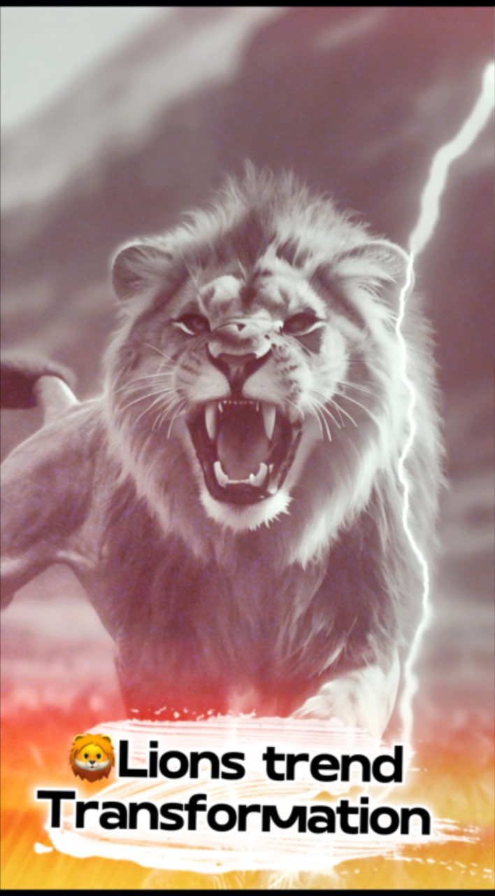 Pour toi 🦁 