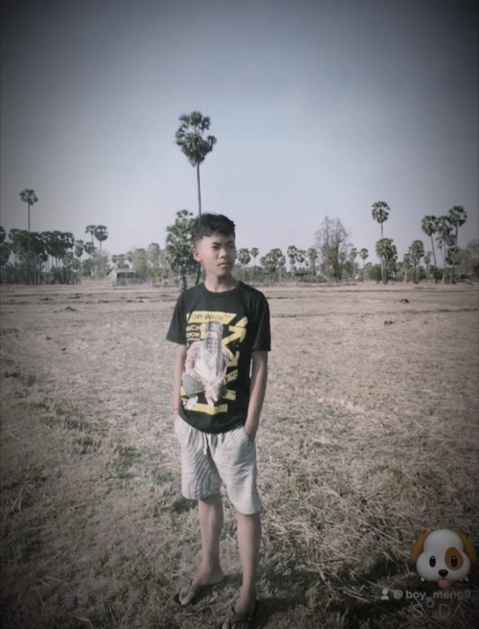 ព្រហ្មលិខិត 