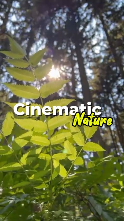kalikasan ng cinematic 