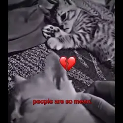 :c
