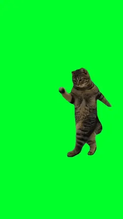 Mario cat