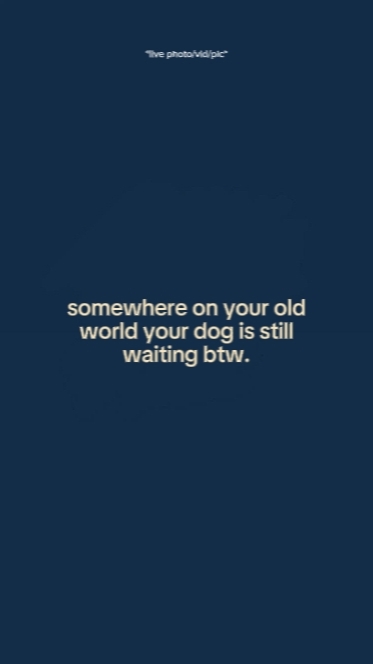 YourDogStillWaiting