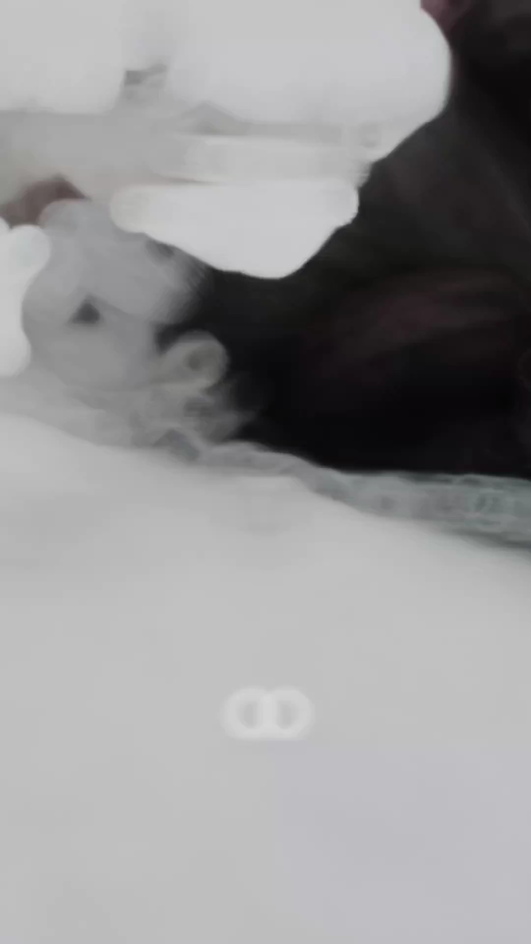 눈 | 슬로우 모션 