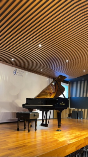 Konser piano