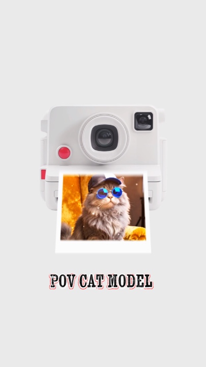 Modèle de chat