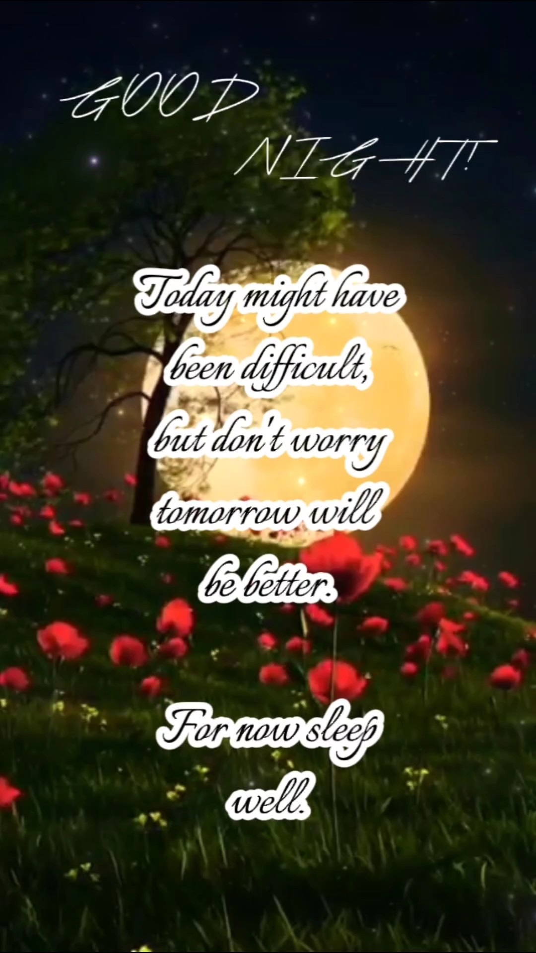 Buenas Noches