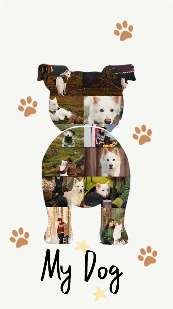 J'aime mon chien
