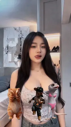 animals dance