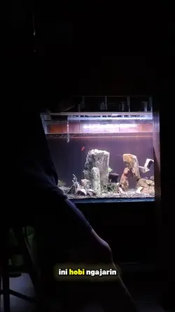 filosofi hobi ikan
