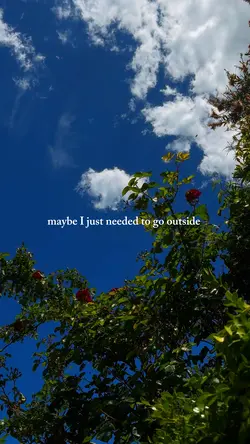 Go Outside. 