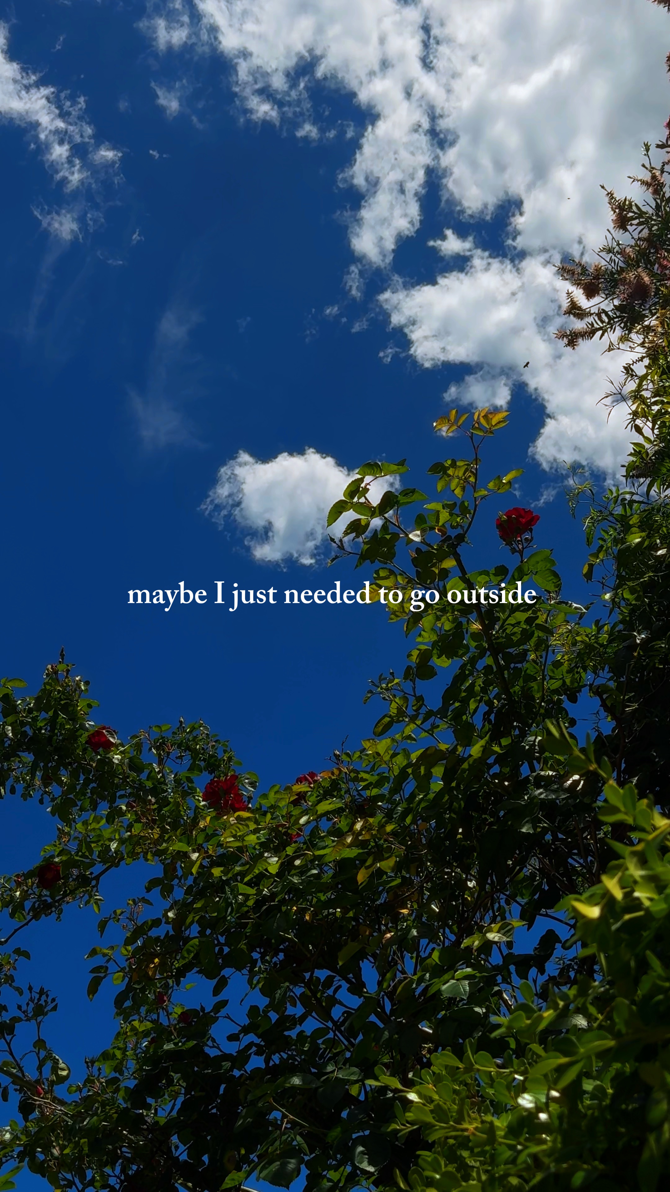Go Outside. 