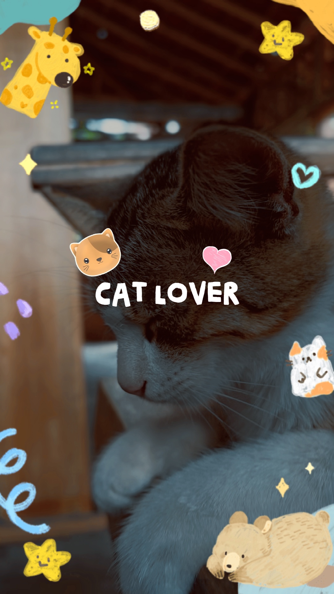 Amoureux des chats