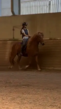 BONFIRE-SLOWMO 💓🥹