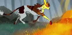 sol