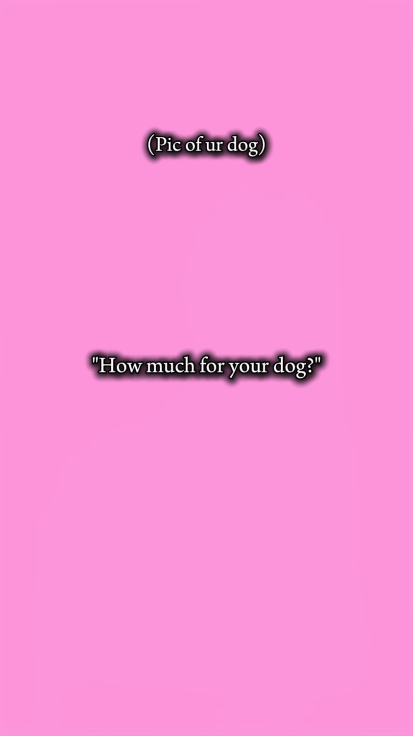 dog