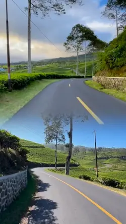 2 video kolase