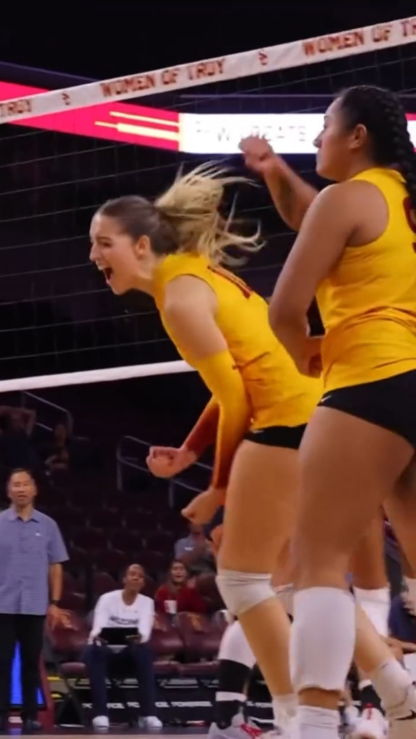 Pelota de voleibol