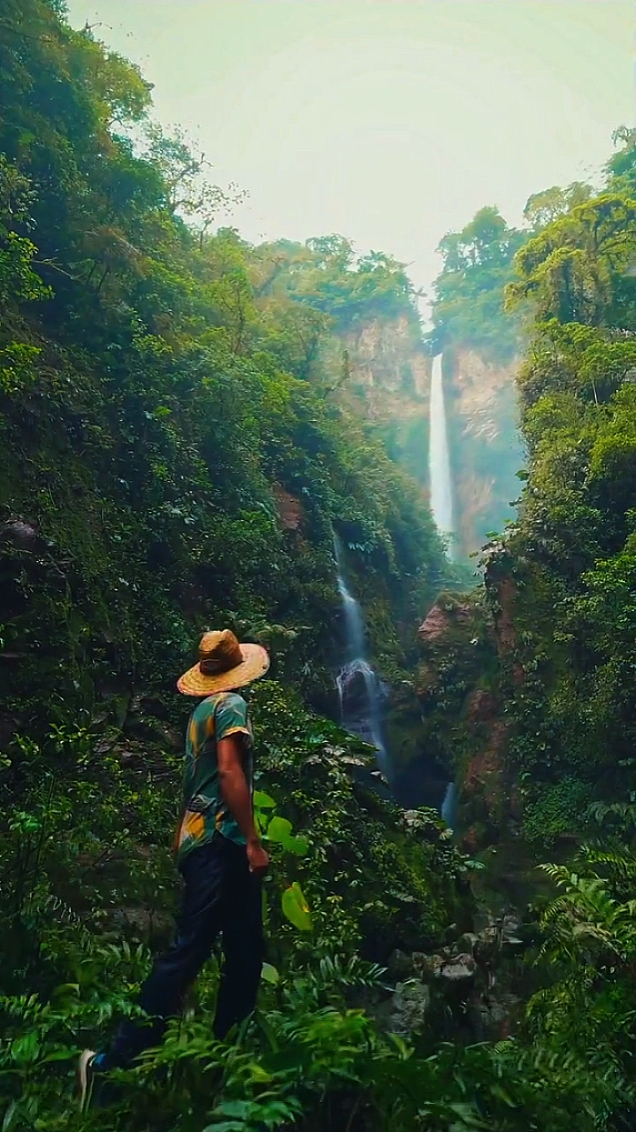 Naturaleza cinematográfica