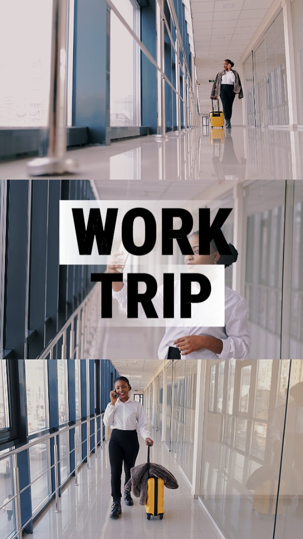 Viaje de trabajo
