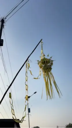 Dekorasi Wedding