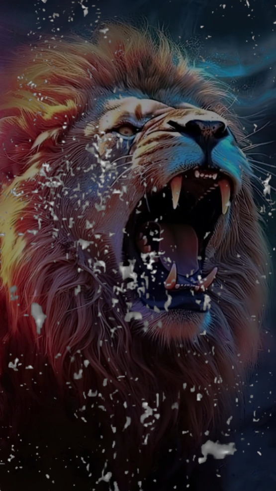 Lion vs Tiger 