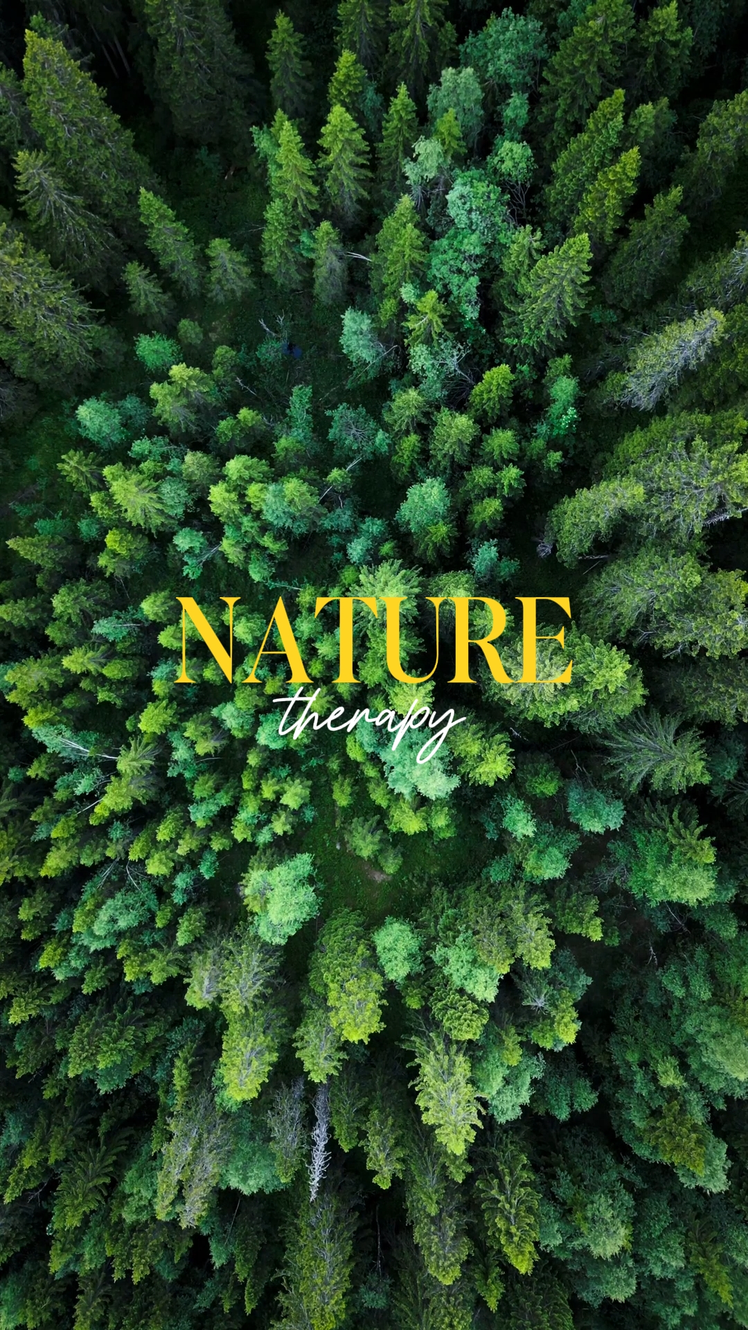 Nature Therapy
