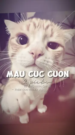 2 ẢNH GIẬT GIẬT CHÁY