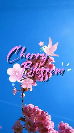 cherry blossom