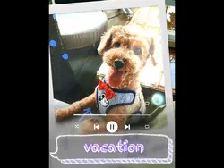 vacation🐶