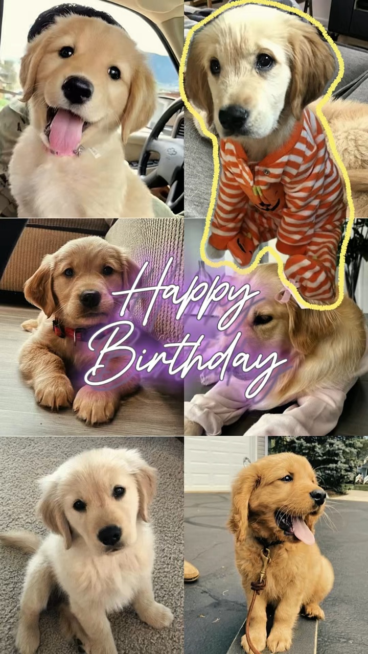 Happy bday my puppy🐶