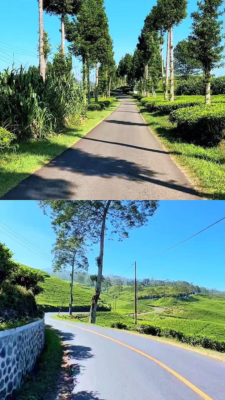 2 vídeos 1 quadro