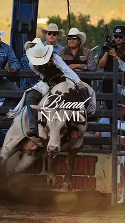 rodeio de boi