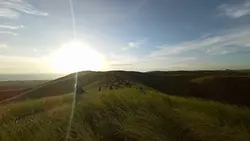 Quick scape