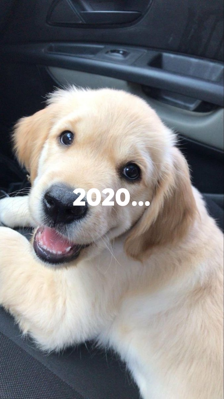 2024年🕊️