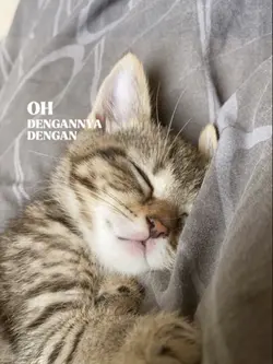 Lirik lagu 