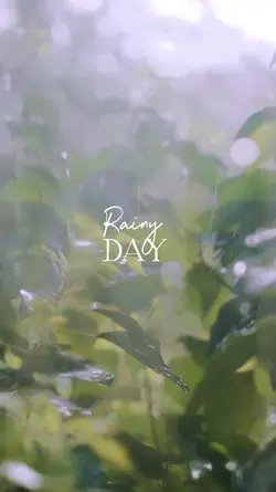 /Rainy day-/