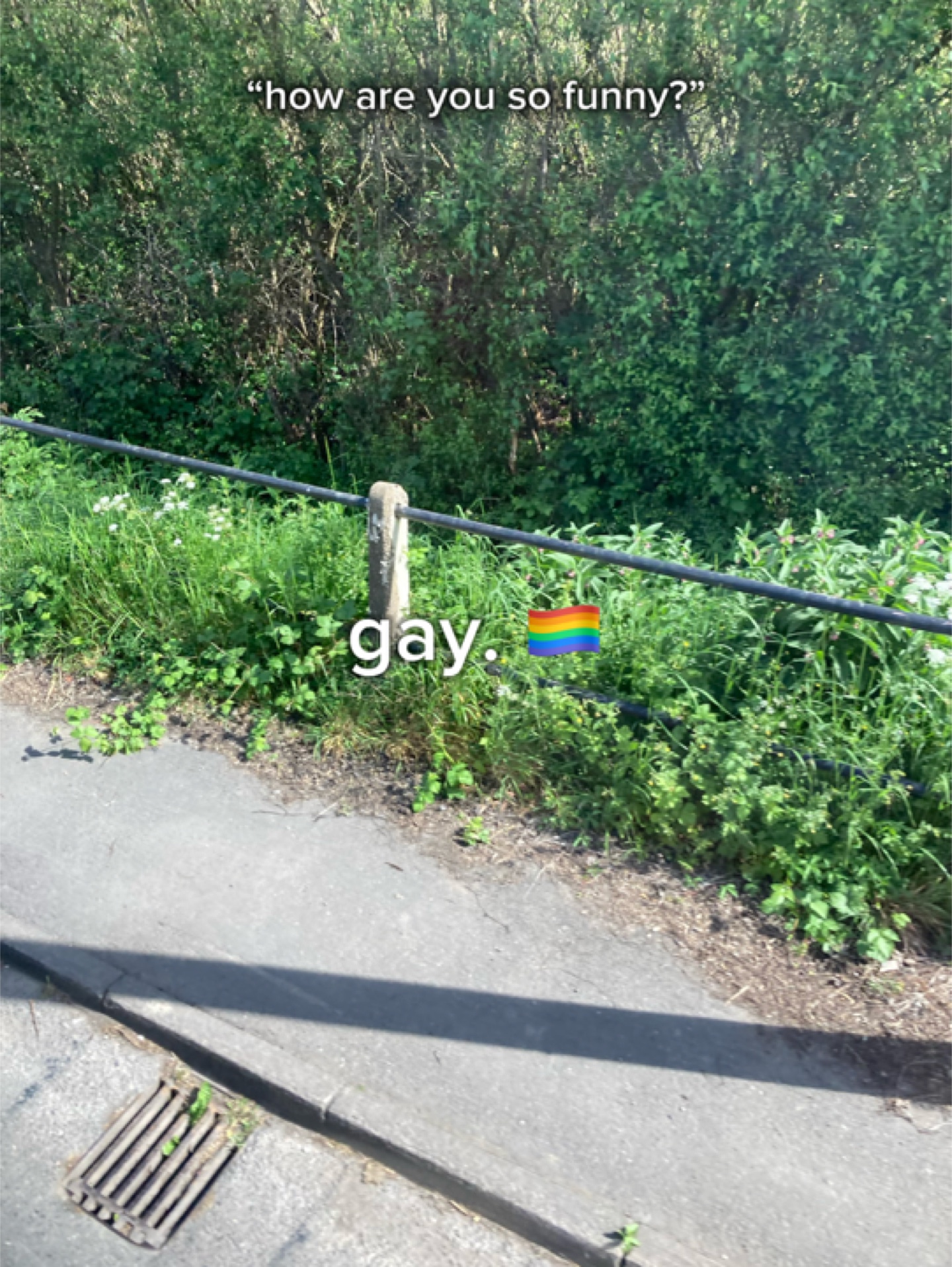 gay-