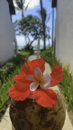 Moana Holiday