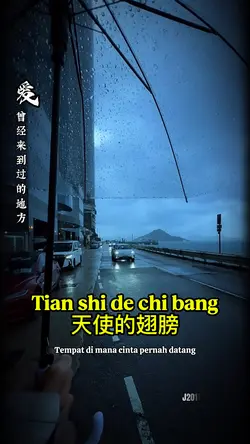 Tian shi de chi bang