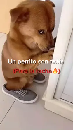 La racha🔥
